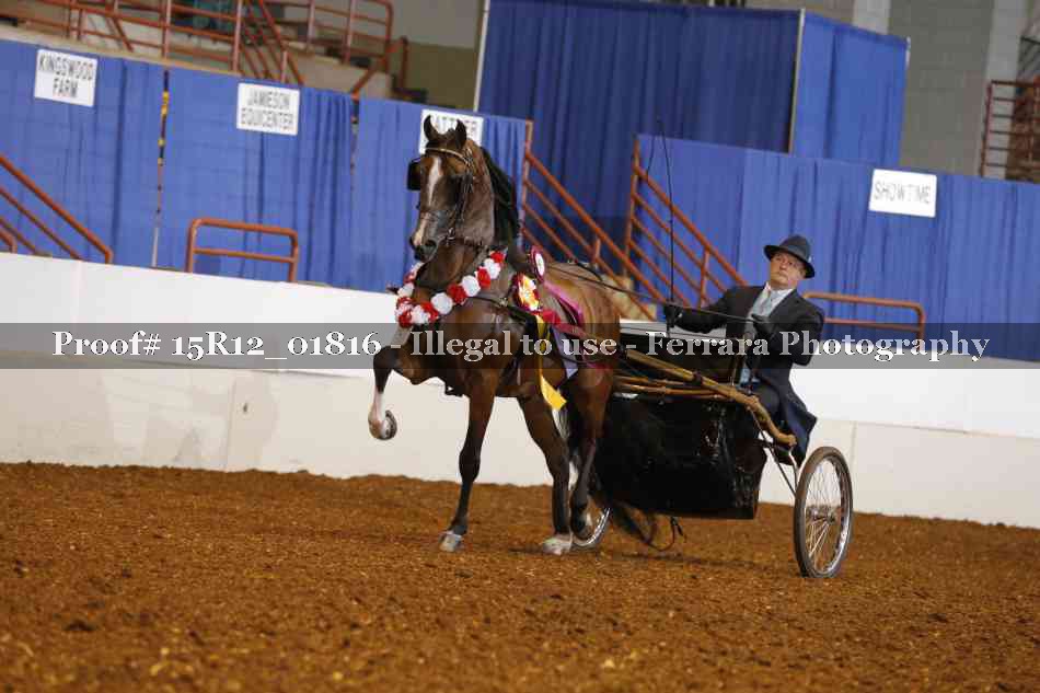 Proof 15R12_01816
