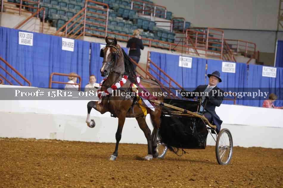 Proof 15R12_01817