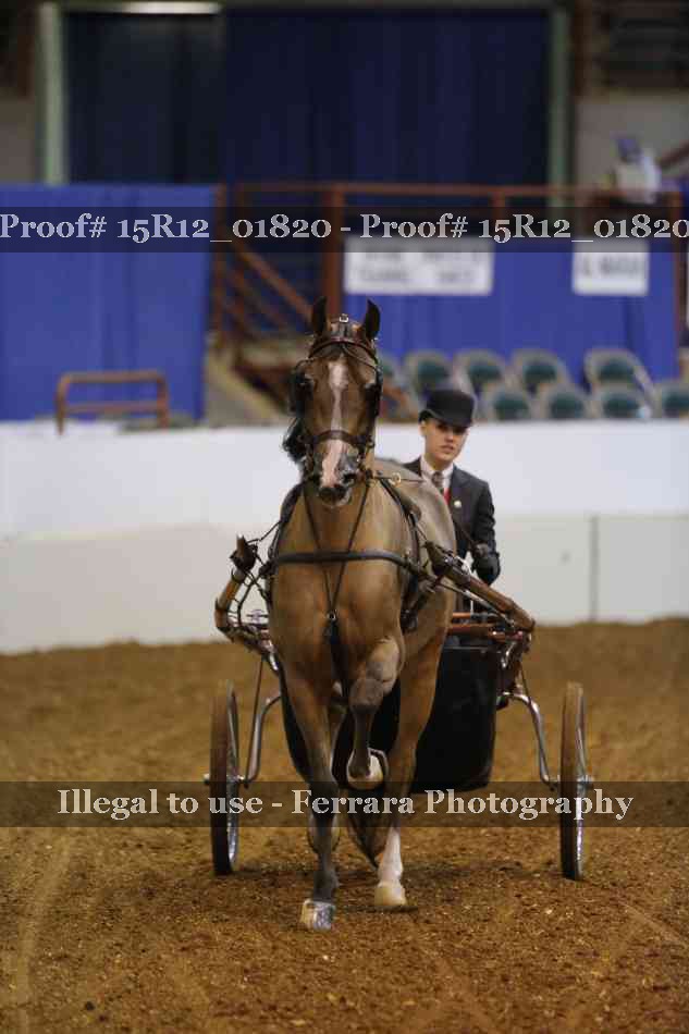 Proof 15R12_01820