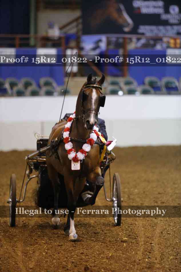 Proof 15R12_01822