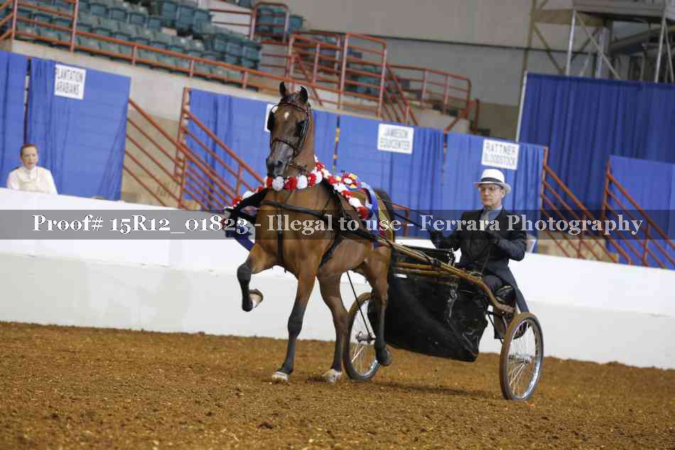 Proof 15R12_01823