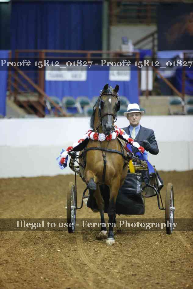 Proof 15R12_01827