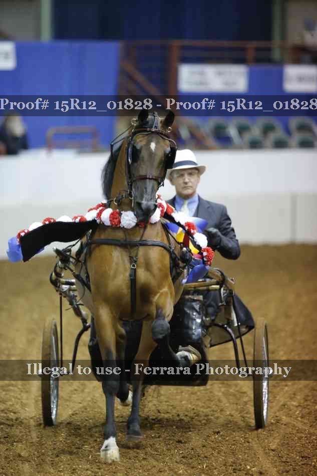 Proof 15R12_01828