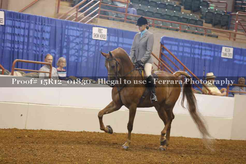 Proof 15R12_01830