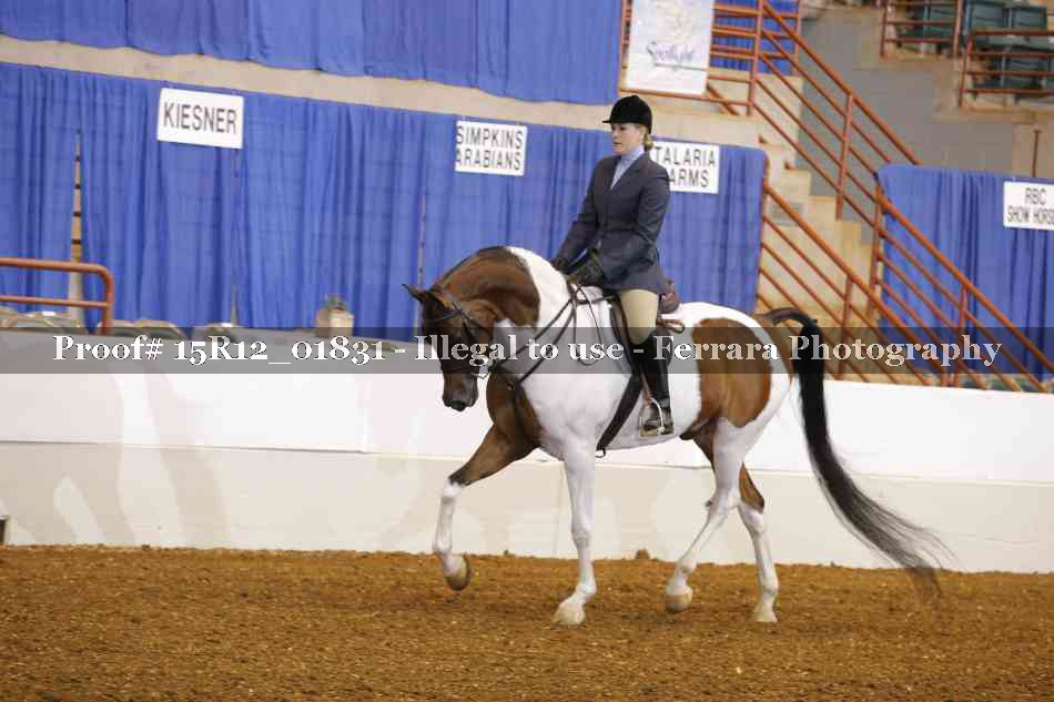 Proof 15R12_01831