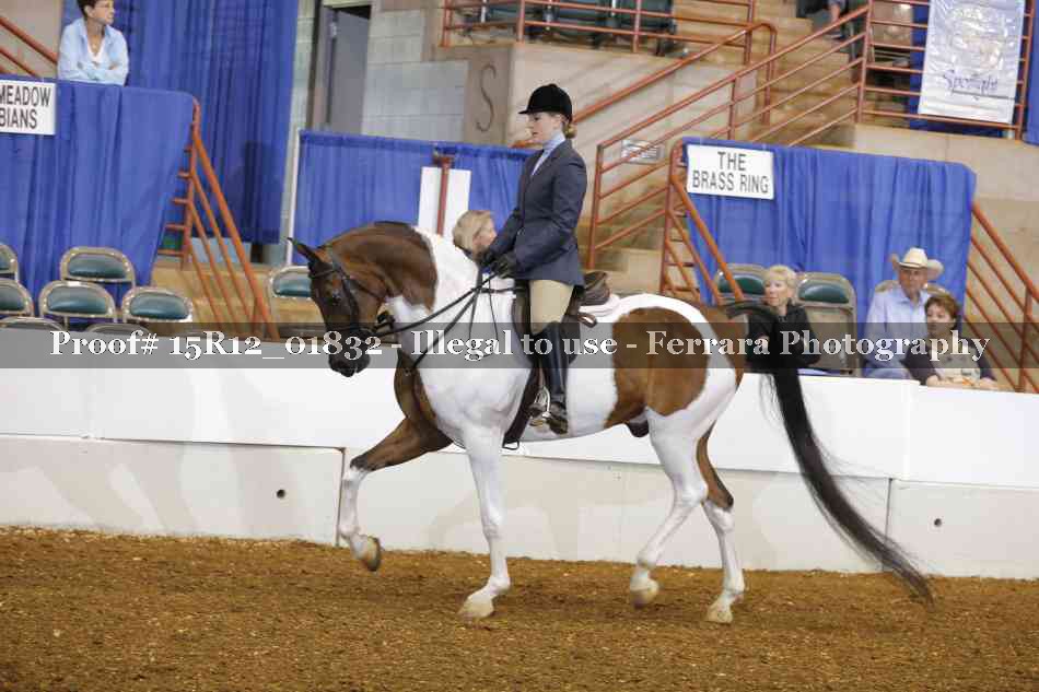 Proof 15R12_01832