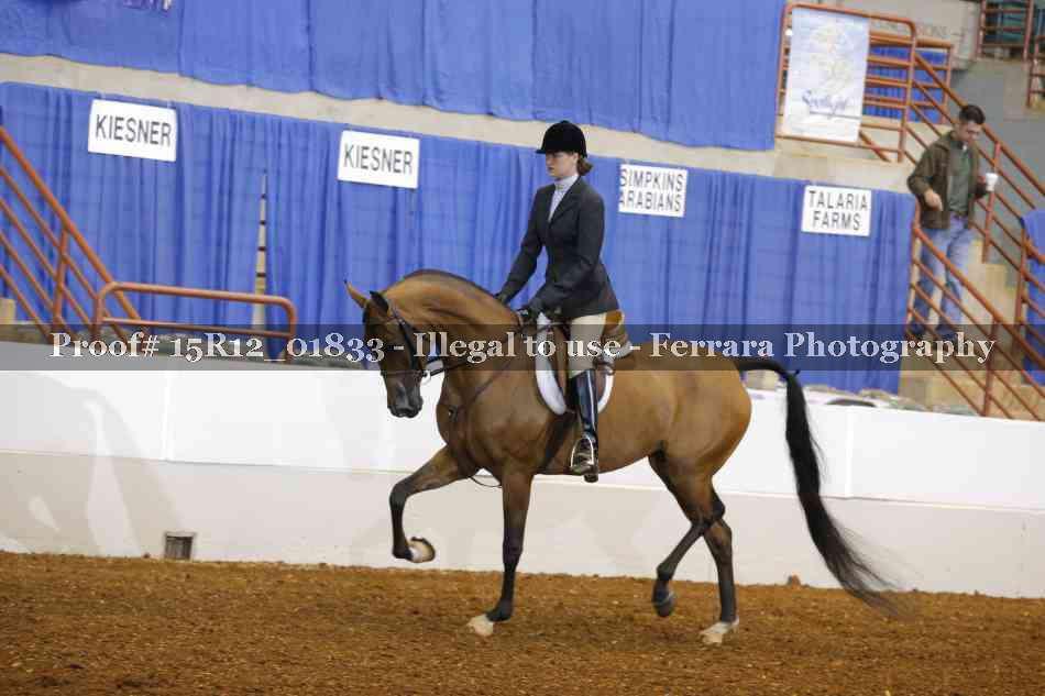 Proof 15R12_01833