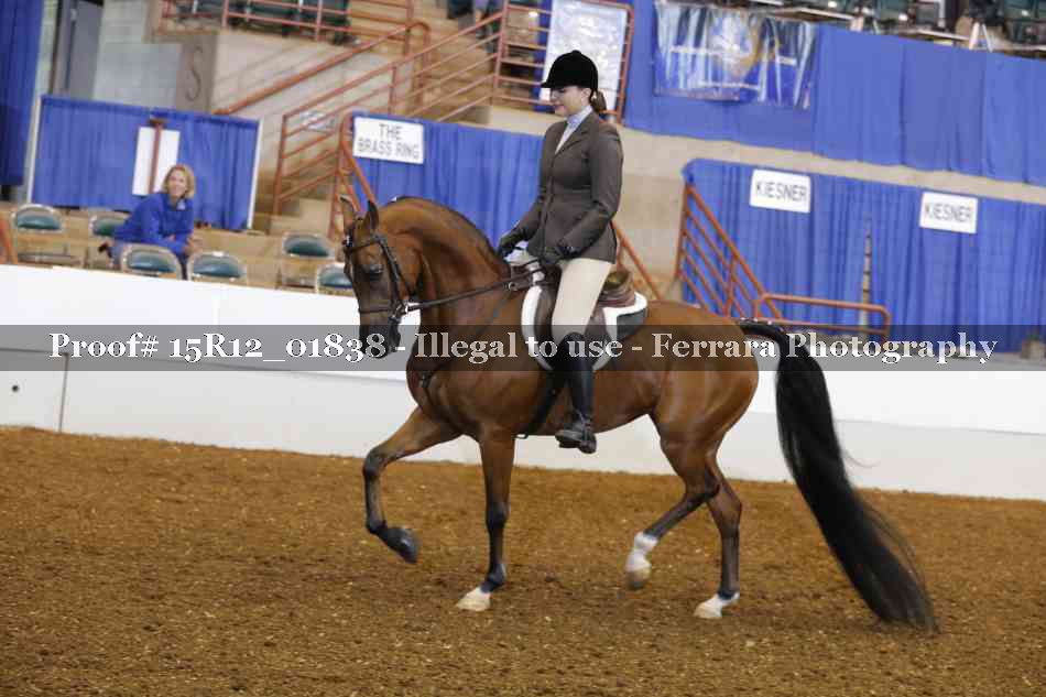 Proof 15R12_01838