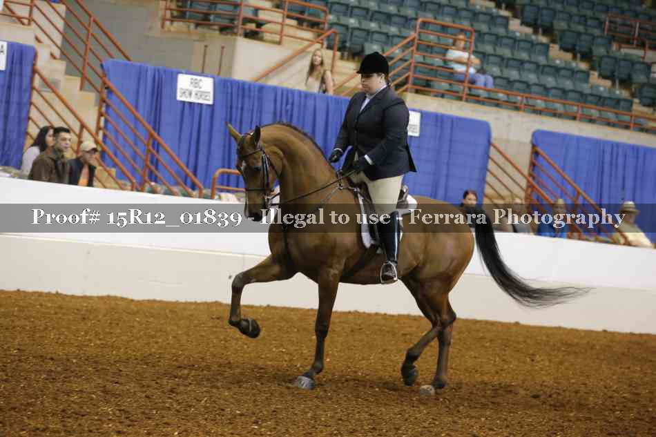 Proof 15R12_01839