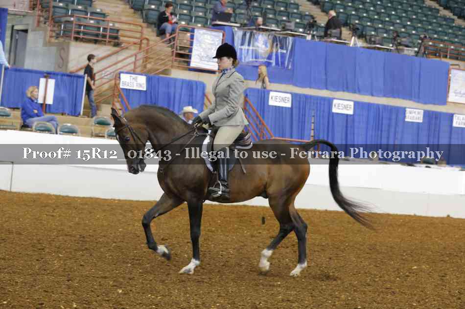 Proof 15R12_01843
