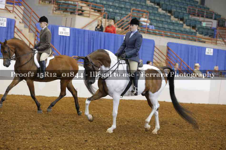 Proof 15R12_01844