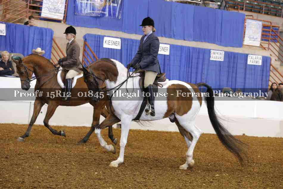 Proof 15R12_01845