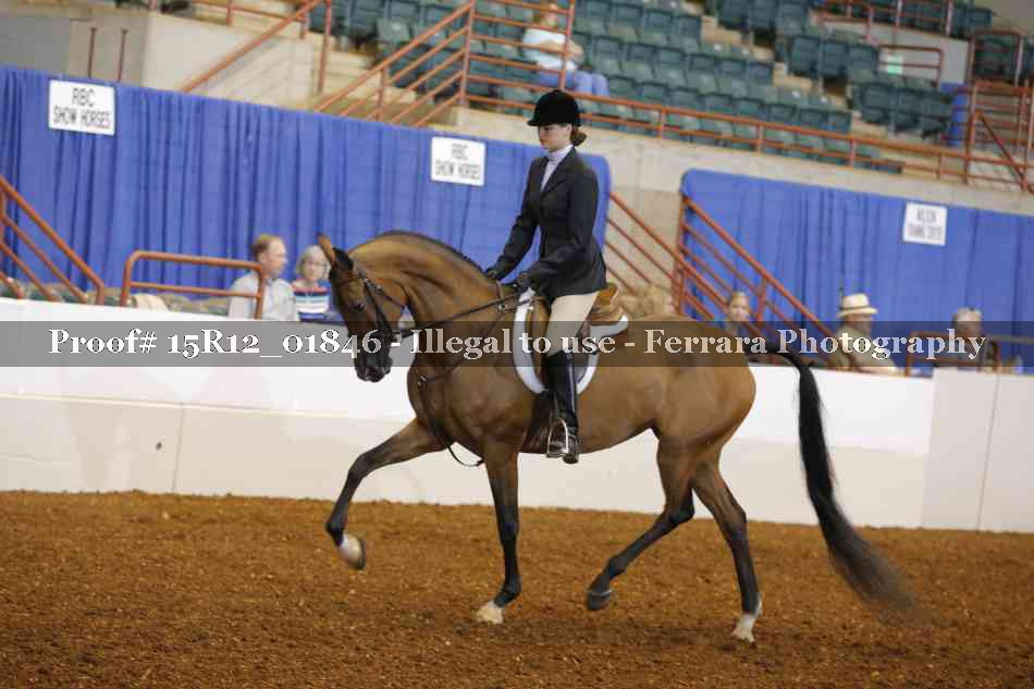 Proof 15R12_01846
