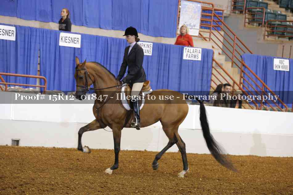 Proof 15R12_01847