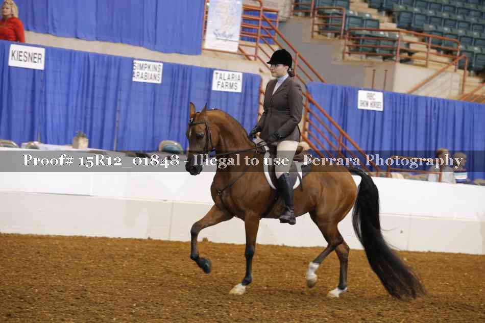 Proof 15R12_01848