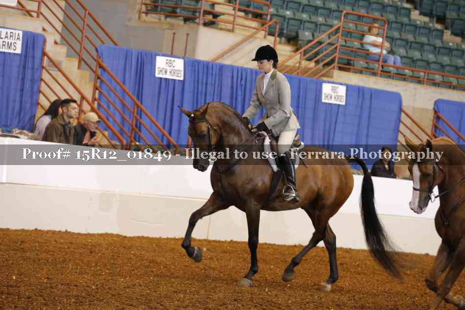 Proof 15R12_01849
