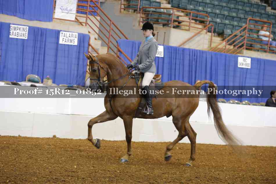 Proof 15R12_01852