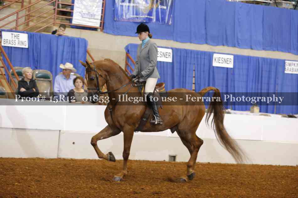 Proof 15R12_01853