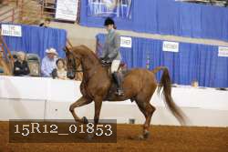 15R12_01853 proof