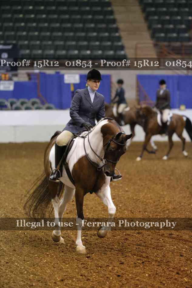 Proof 15R12_01854