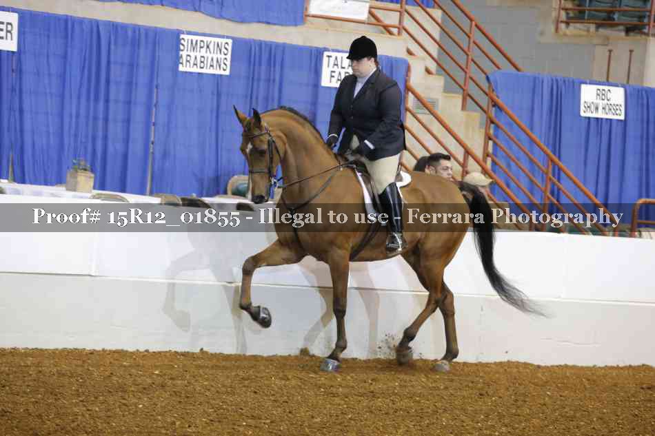 Proof 15R12_01855
