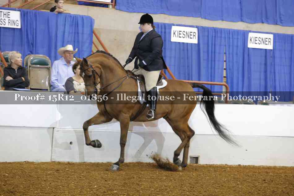 Proof 15R12_01856
