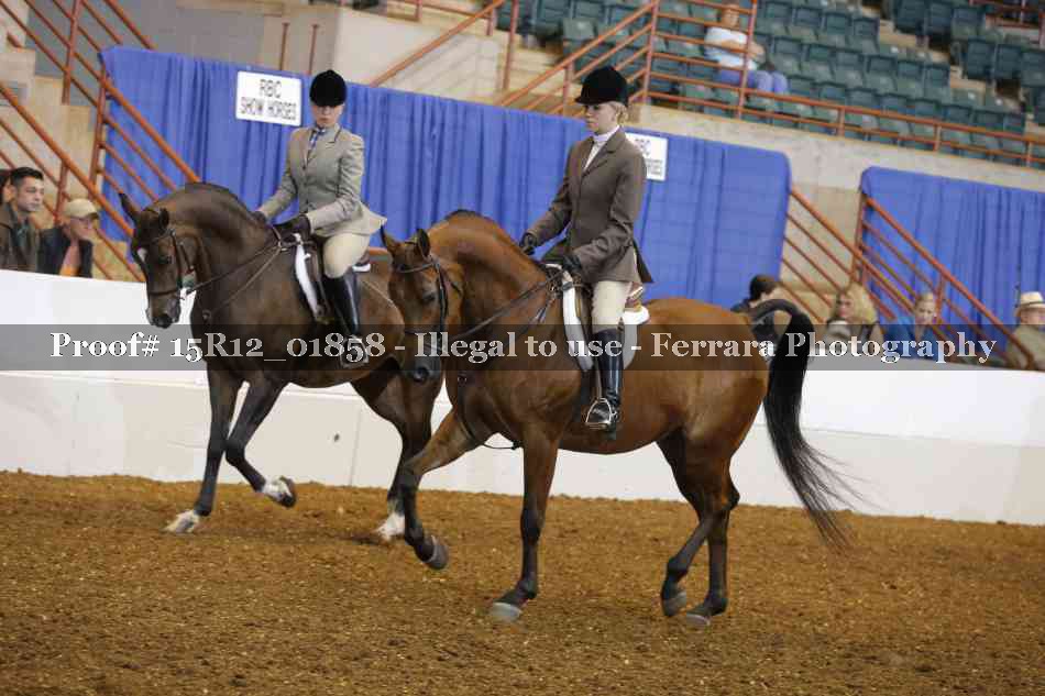 Proof 15R12_01858