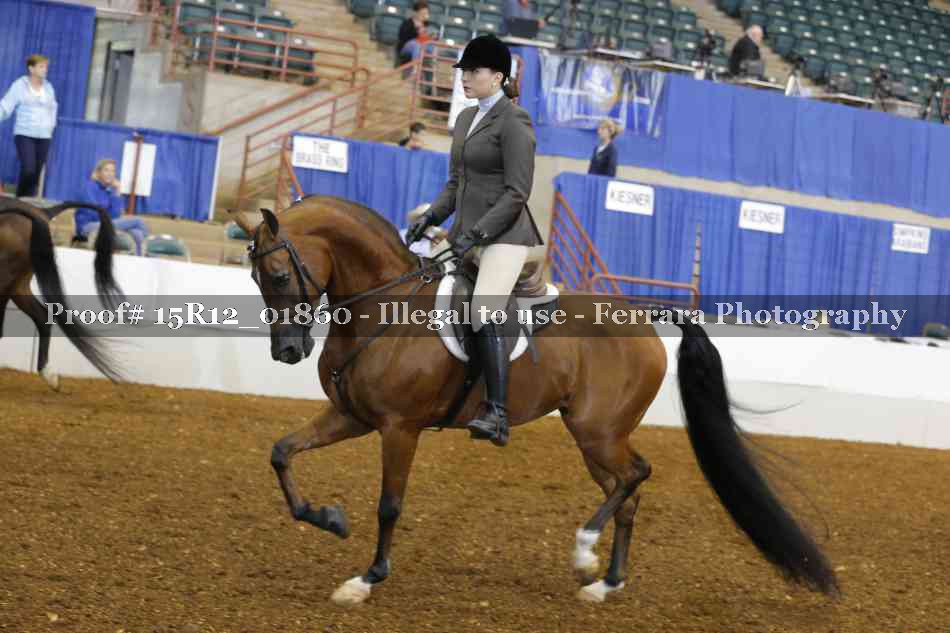 Proof 15R12_01860