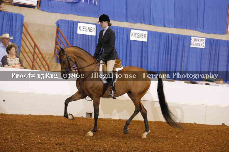 Proof 15R12_01862