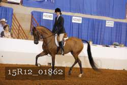 15R12_01862 proof