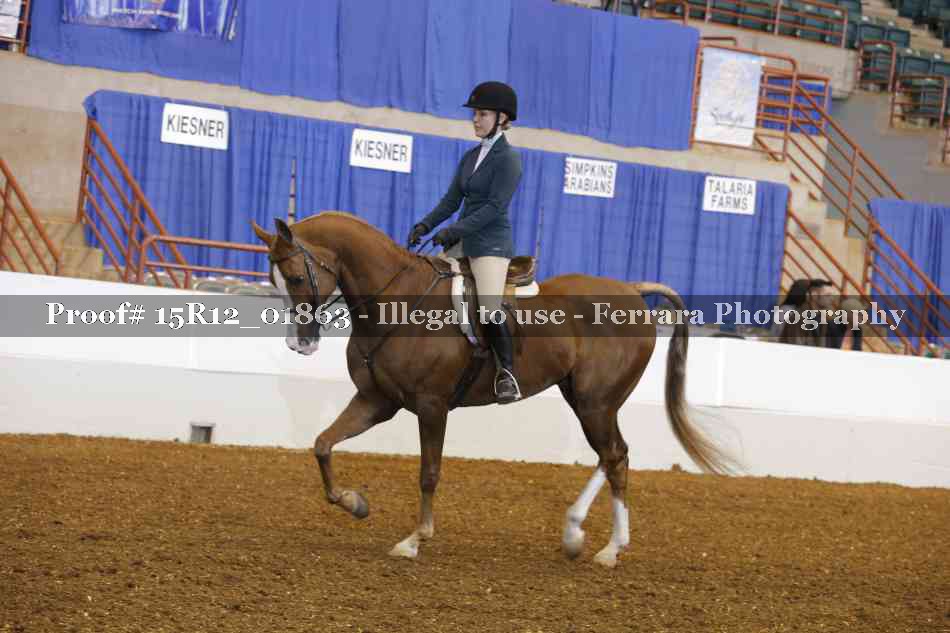 Proof 15R12_01863