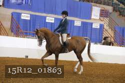 15R12_01863 proof