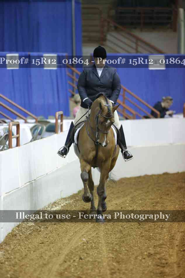 Proof 15R12_01864