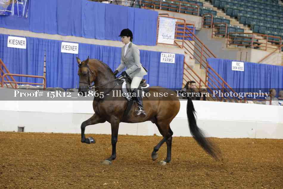 Proof 15R12_01865