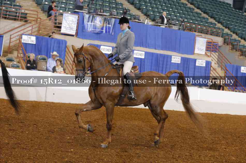 Proof 15R12_01866