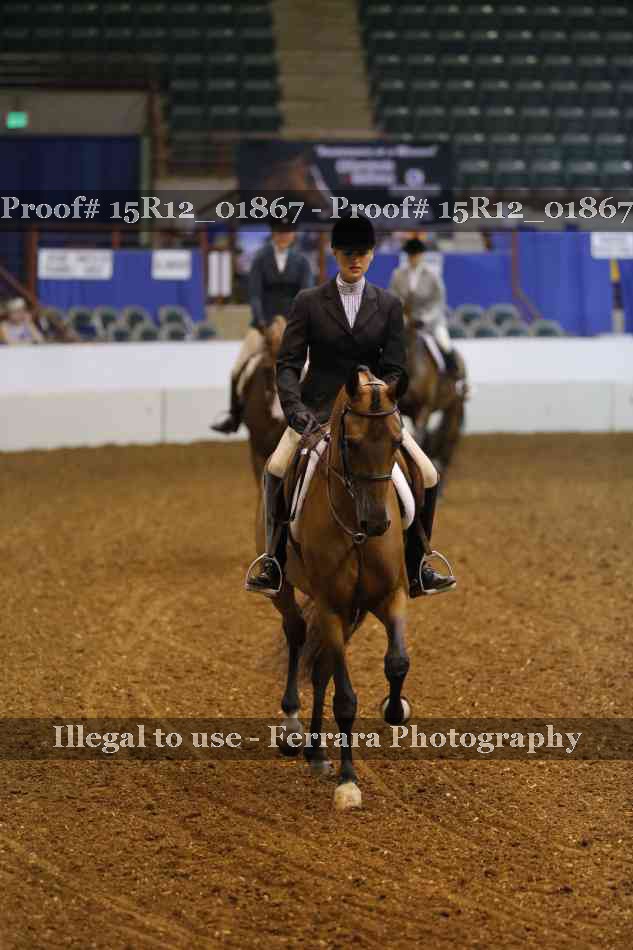 Proof 15R12_01867