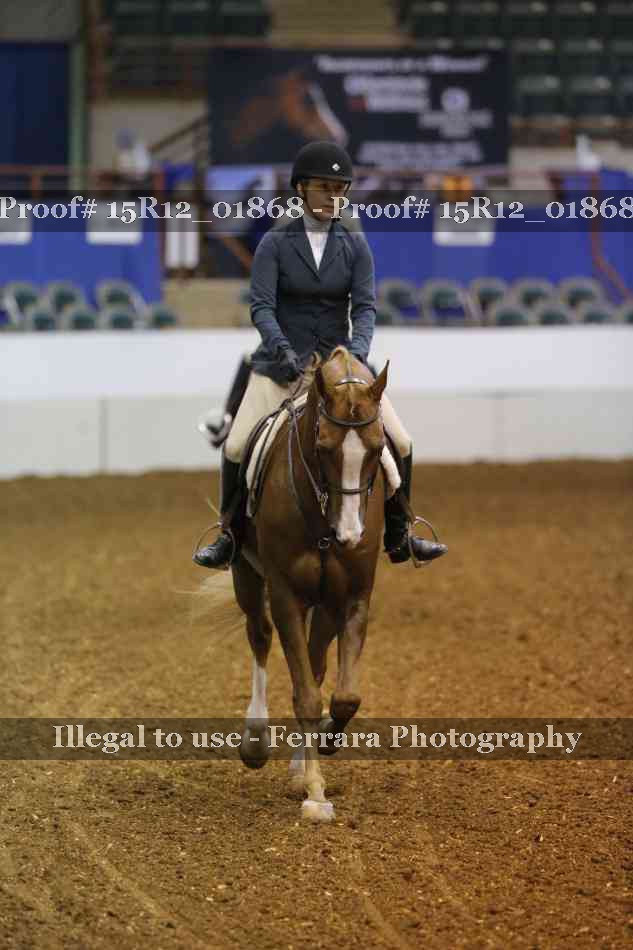 Proof 15R12_01868