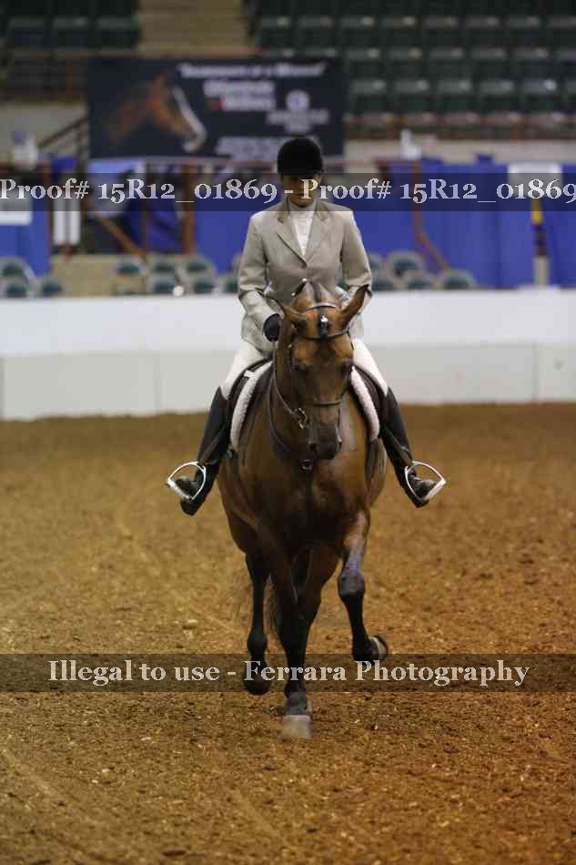 Proof 15R12_01869