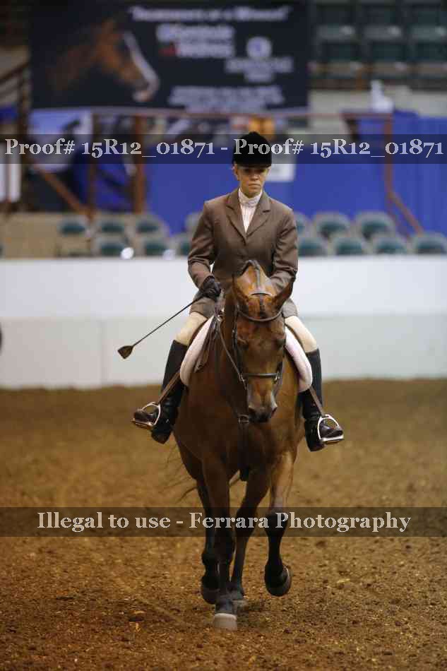 Proof 15R12_01871