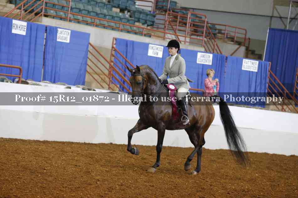 Proof 15R12_01872