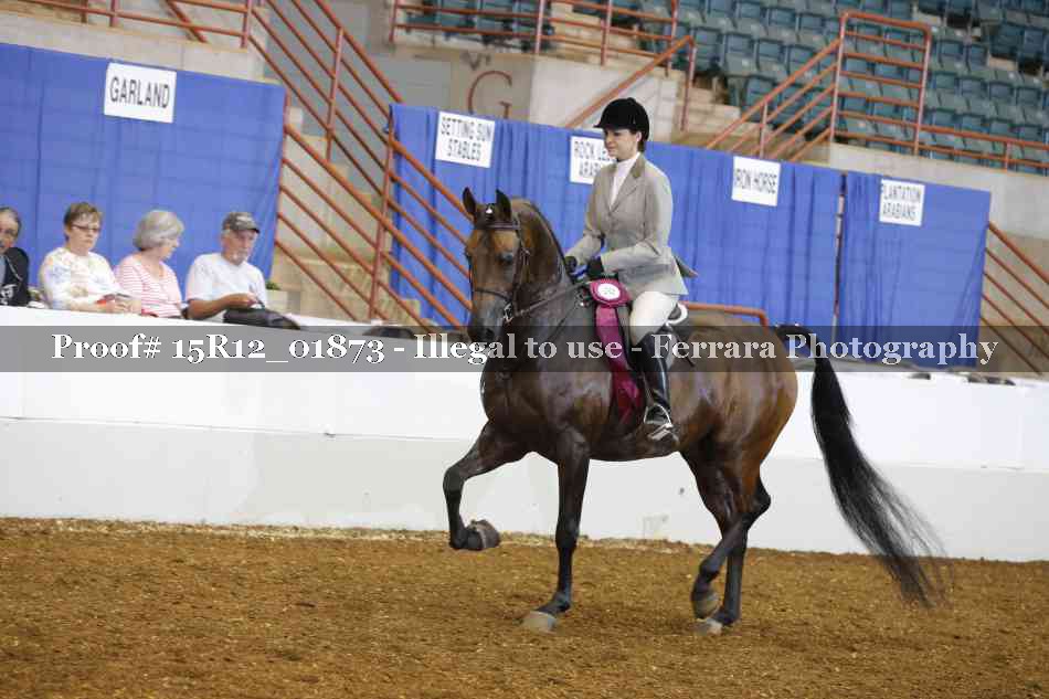 Proof 15R12_01873