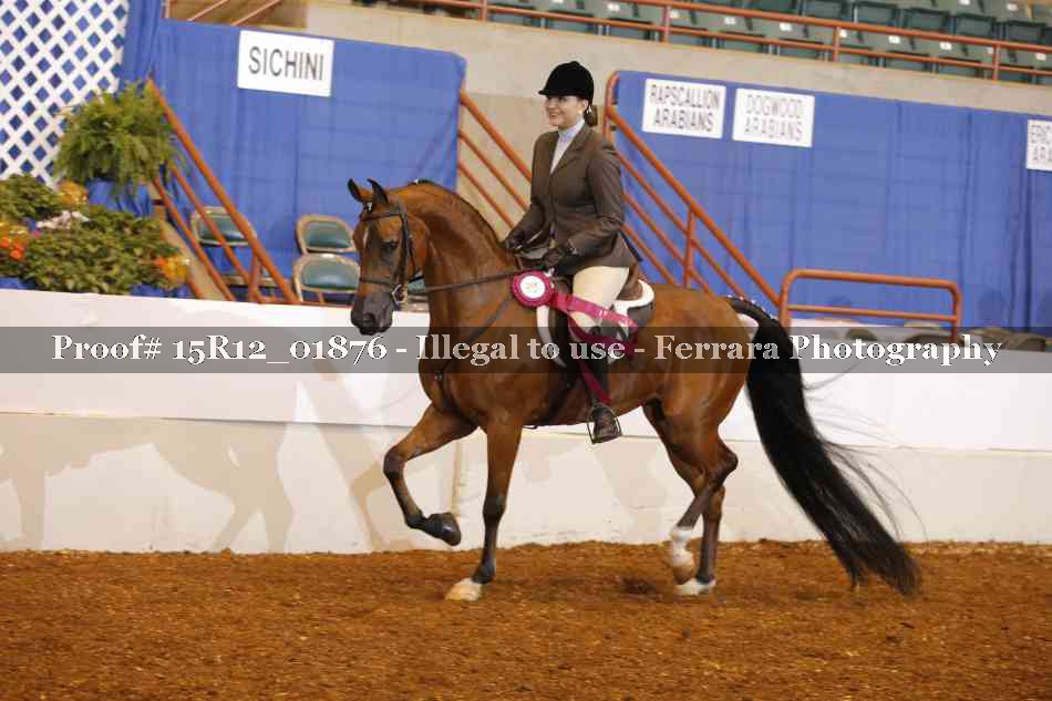 Proof 15R12_01876