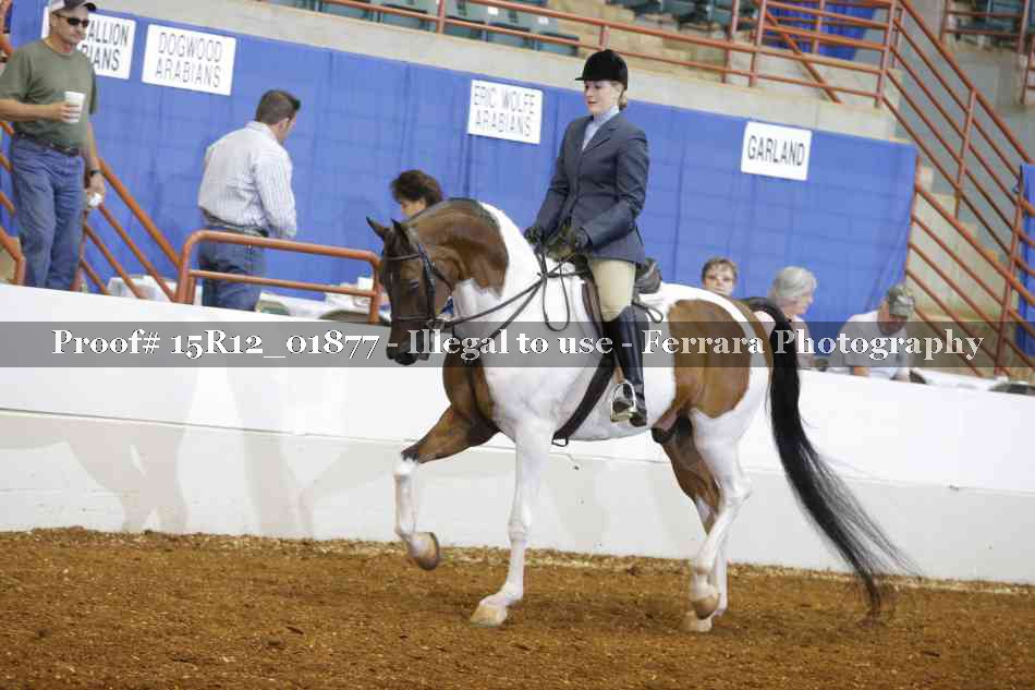Proof 15R12_01877