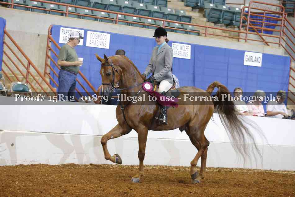 Proof 15R12_01879