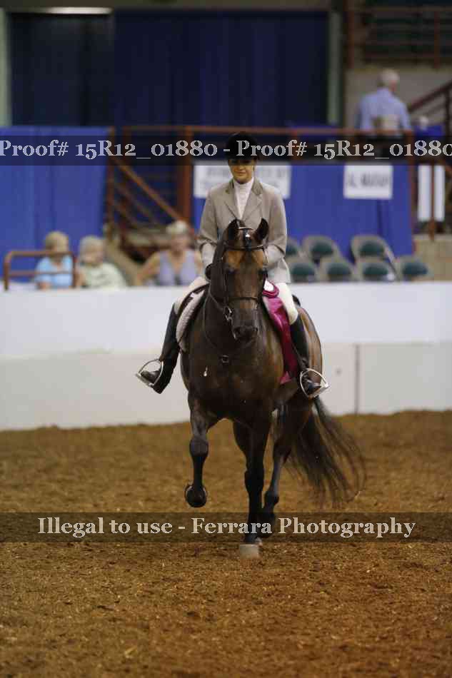Proof 15R12_01880