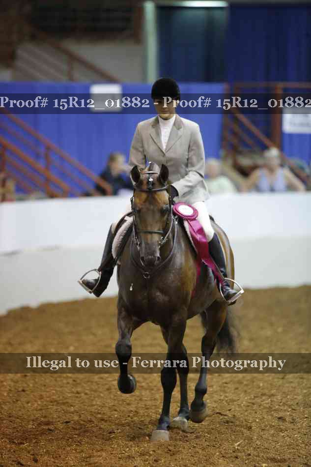 Proof 15R12_01882