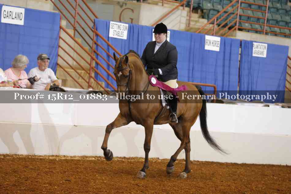 Proof 15R12_01883