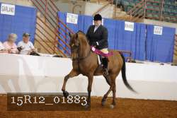 15R12_01883 proof