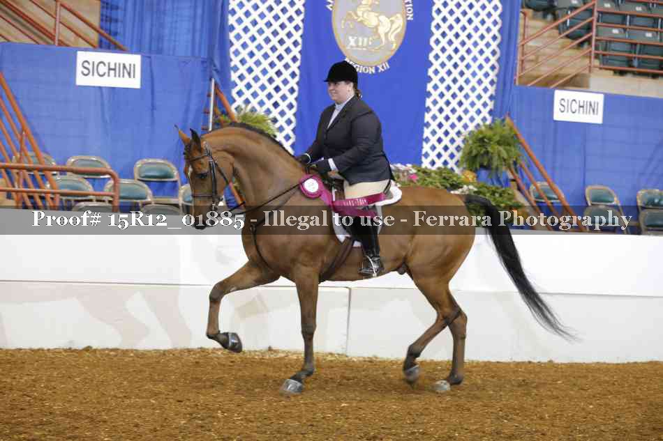 Proof 15R12_01885