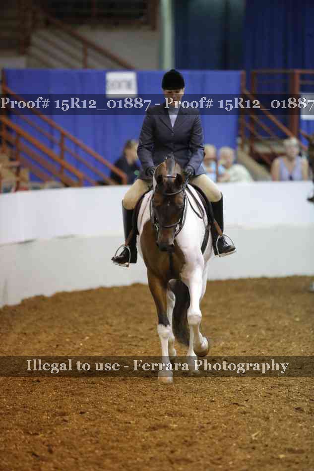 Proof 15R12_01887